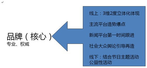 華夏品牌整合營銷運(yùn)營戰(zhàn)略規(guī)劃與項(xiàng)目營銷策劃方案
